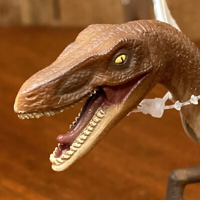 #ad Velociraptor Wild Safari Dinosaur Figure Safari Toys Collectibles Kids Tags 2007 $15.00