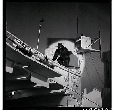 #ad The Norbu Novelty Gorilla Act On Hollywood Palace 1964 OLD TV PHOTO 1 AU $8.50