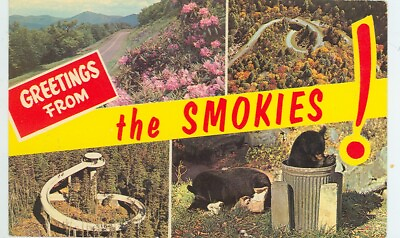 #ad TENNESSEE GREETINGS THE SMOKIES 4VIEWS #P43131 RIBBON TN* $3.49