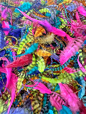 #ad *SALE* 1000pc Rainbow 3 6quot; Loose CAPE Fluffy Feathers Whiting Farms $26.99