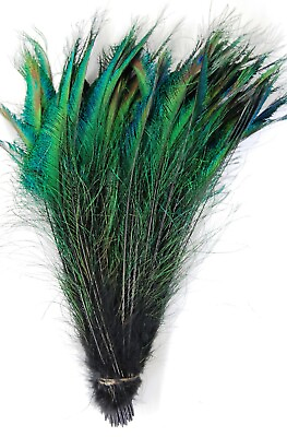 #ad 50 Pcs DYED PEACOCK SWORDS BLACK 20 25quot; Feathers; Costume Hats Bridal Pads $33.49