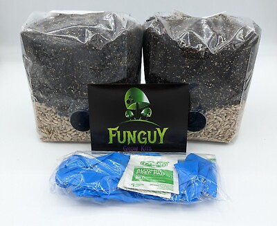 #ad 2 PACK All in One Organic Easy Mushroom Grow Growing Bag Kit Grain Substrate $25.95