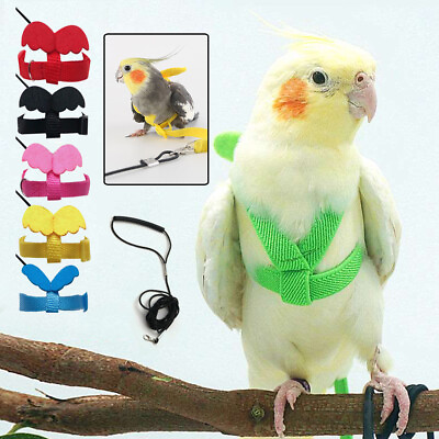 #ad Bird Harness Leash Set Parrot Flying Rope Straps Outdoor Training for Cockatiel $6.75