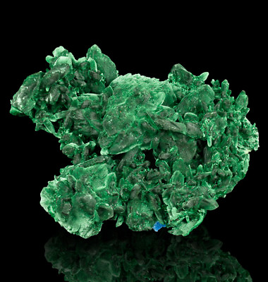#ad 4quot; Dark Green MALACHITE PSEUDO AZURITE Sharp Crystals Milpillas Mexico for sale $245.00