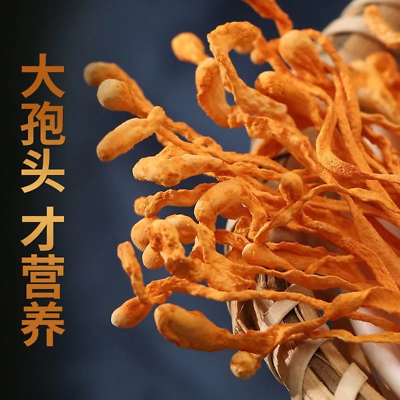 #ad Organic Cordyceps Sinensis Dried Mushroom Chinese Traditional Medicine 250g $11.60
