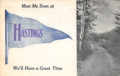 #ad quot;We#x27;ll Have a Great Timequot; in Hastings Michigan Meet Me Soon 1915 Pennant PC $6.00