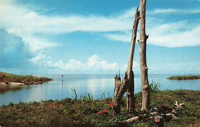 #ad Lake Okeechobee Florida Largest Fresh Water Lake Scenic View Vintage Postcard $6.39