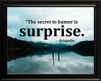 #ad Aristotle The Secret To Poster Print Picture or Framed Wall Art $19.81