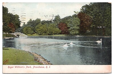 #ad Providence Rhode Island Vintage Postcard c1908 Roger Williams#x27; Swans on Lake $3.65