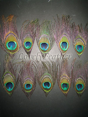 #ad 100 Pcs Peacock eye feathers of natural colour $26.91