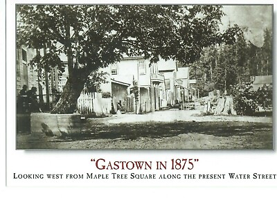 #ad Vancouver Gastown 1875 Wonderful British Columbia Postcard Restless Eye Water St C $5.44