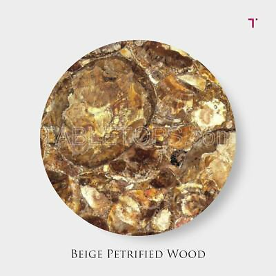 #ad Beige Petrified Wood Table Top Counter Top Healing Wood for Home Office Decor $449.00
