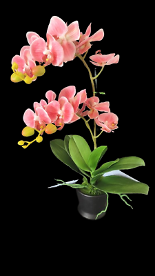 #ad Artificial Phalaenopsis Orchid Plant Silk Flowers CORAL $54.95