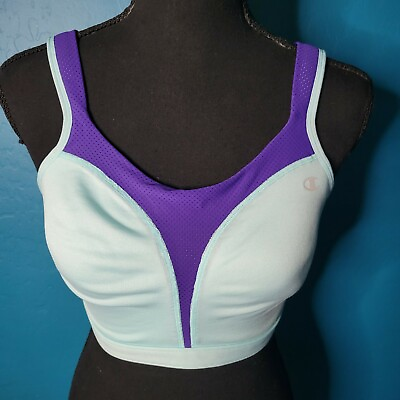Champion High Support 36DD Purple Mesh And Light Blue Full Coverage Sports Bra $19.99