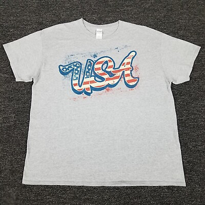 #ad American Flag Shirt Mens XL Gray USA Graphic Patriotic Themed Casual Gildan Tee $5.99