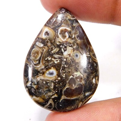 #ad Natural Unique Turritella Fossil Agate Pear Cabochon 34.90Cts. Loose Gemstone $7.43