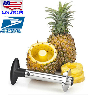 #ad New Easy Kitchen Tool Fruit Pineapple Corer Slicer Cutter Peeler Stainless Steel $4.84