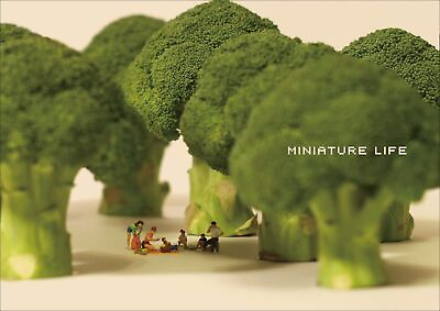 #ad MINIATURE LIFE Tatsuya Tanaka Art Photo Works Book from Japan USED $36.00