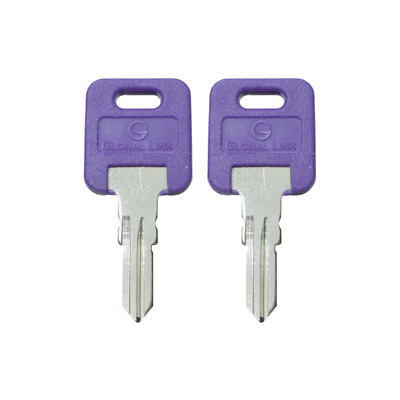 #ad 1 Pair 2 keys Global Link Precut Keys G301 G391 RV Trailer Camper Keys $9.95