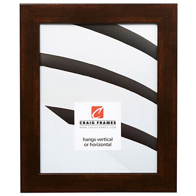 #ad Craig Frames Bauhaus 125 1.25 Inch Wide Modern Aged Copper Picture Frame $54.99