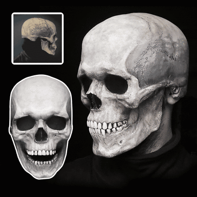 #ad Movable Full Head Skull Mask helmet With Movable Jaw Horror Helmet Halloween $13.99