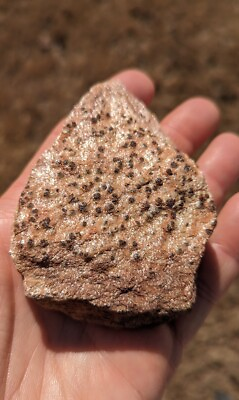 #ad Appalachian Ancient Garnet Pyrite Matrix Schist Crystal Mineral $24.00