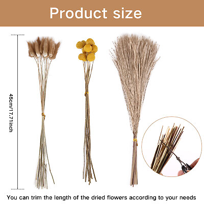 #ad 125Pcs Dried Pampas Grass Set for Vase Natural Elegant Dried Bunny Tail he $24.39