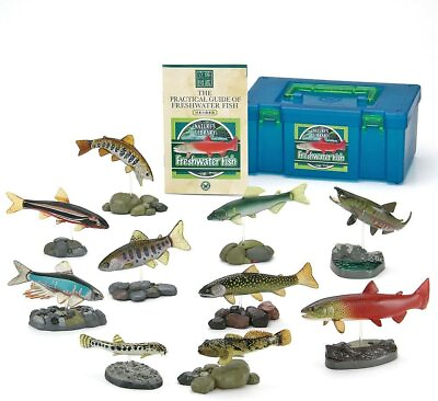 #ad Colorata Real Figure box Set Japanese Fresh Water Fish New Japan F S w T $75.33