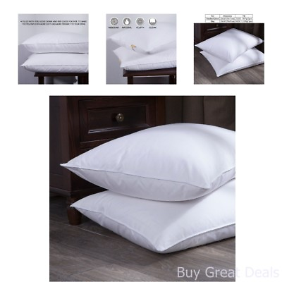 #ad Queen Standard 2 Pack Feather Goose Down and Feather Bed Pillow Cotton Cover $77.98