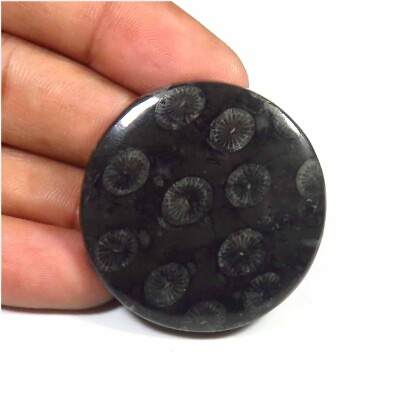 #ad Black Fossil Cabochon 36mm Polished Round Shape Natural Gemstone 66Cts DIY FL 88 $9.09