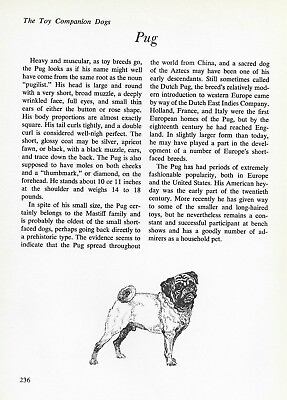 #ad The Pug CUSTOM MATTED Vintage Dog Art Print quot;Gquot; $15.00