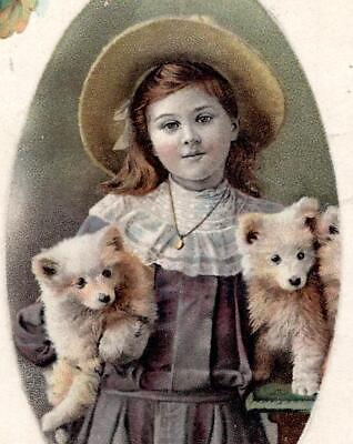 #ad 1910 MERRY CHRISTMAS HUSKY PUPPIES DOGS SWEET GIRL FANCY HAT EMBOSSED POSTCARD $19.95
