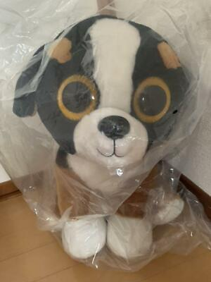 #ad ty plush toy XL Ty dog plush toy cute $99.89