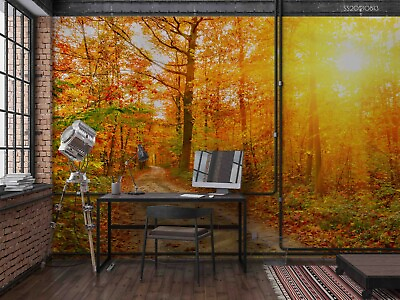 #ad 3D Sunny Forest Wallpaper Wall Mural Removable Self adhesive 251 AU $349.99
