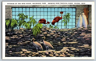 #ad Toledo Ohio OH Rare Tropical Birds Zoo Bird House Vintage Postcard $8.99