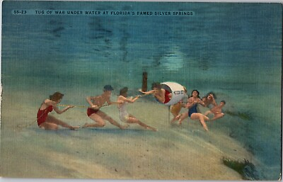 #ad 1930s Vintage Postcard Tug of War Under Water Silver Springs Florida $9.23