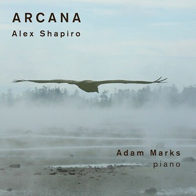 #ad Shapiro Marks Arcana New CD $17.93
