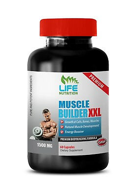#ad L Lysine 250 Muscle Builder XXL 1500mg Promote Post Workout Recovery 1B $19.00