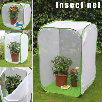 #ad Mantis Stick Small Insect Butterfly Plant Cage Foldable Pop up Enclosure Housing $34.95