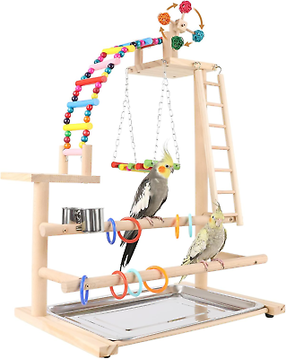 #ad Bird Playground Perch Stand Parrot Playstand Play Gym with 2 Perches 2 Ladder $57.99