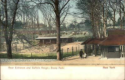 #ad New York City Bronx Park Rear Entrance Buffalo c1905 Postcard $6.89