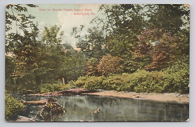 #ad View on Marvin Creek Island Park Smethport Pennsylvania 1909Antique Postcard $18.80