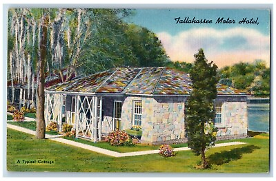 #ad Tallahassee Florida Postcard Motor Hotel Typical Cottage c1940 Vintage Antique $9.95