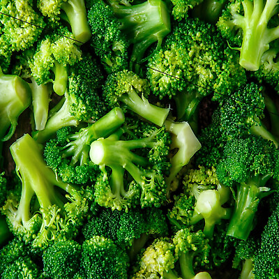 #ad Organic Broccoli Seeds Heirloom Non GMO Fresh Garden Seeds $80.00