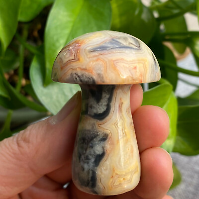 #ad 2‘’ Natural Crazy agate quartz mushroom Hand carved crystal reiki healing 1pc $15.12