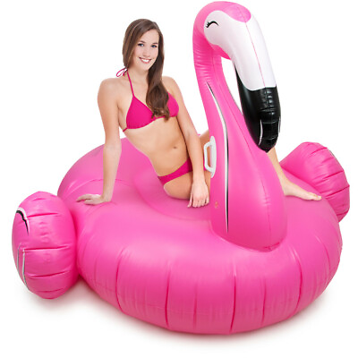 #ad 6ft Wide Flamingo Float $49.99