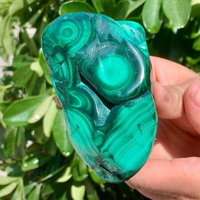 #ad 408G Natural glossy Malachite transparent cluster rough mineral sample $79.70