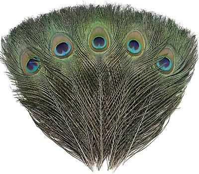 #ad 12 PCS Real Natural Peacock Eye Feathers 10 12 Inch for DIY Craft Wedding and H $7.44