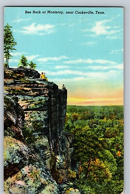 #ad C1910 Bee Rock At Monterey Sightseers on Cliff Edge Cookeville Tenn Postcard $7.50