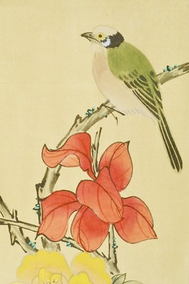 #ad CHINESE PAINTING HANGING SCROLL China 53.1quot; Picture Bird Flower From Japan c374 $99.95